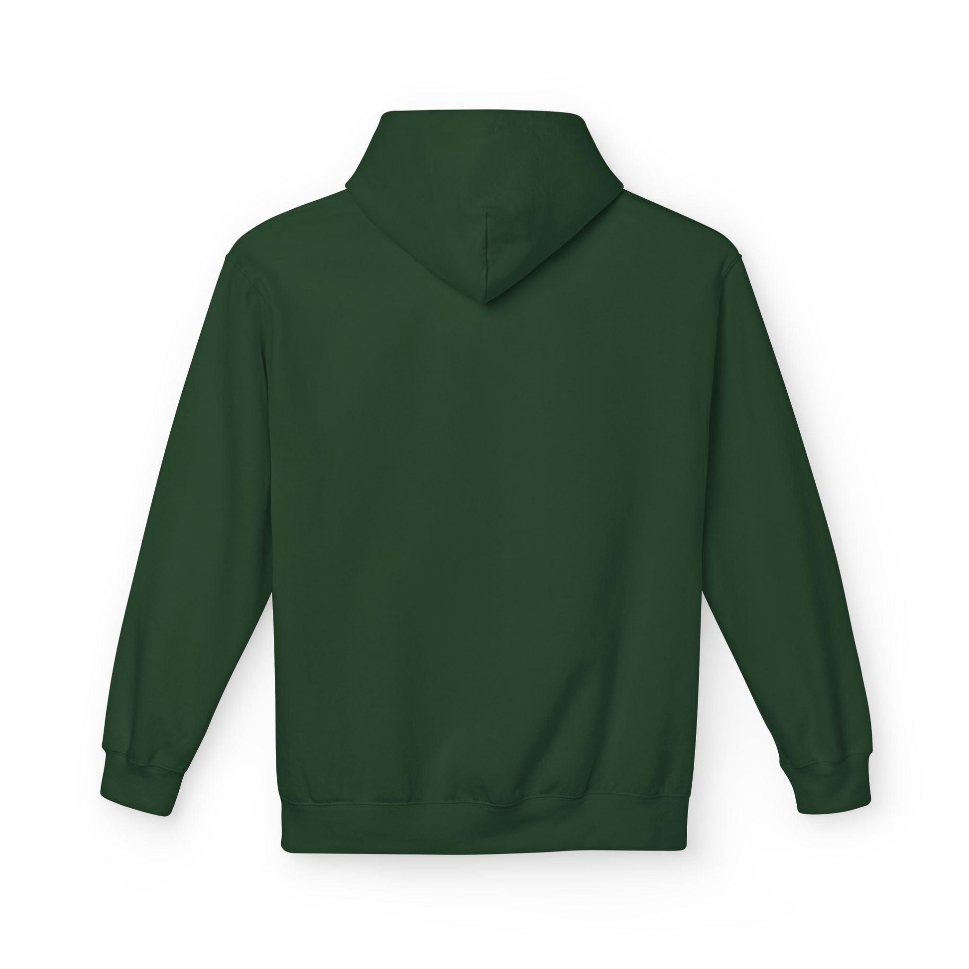 back of evergreen air jesus hoodie
